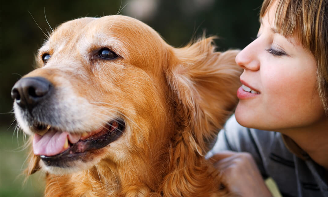 Animal Care: Dog Whispering and Pet Nutrition