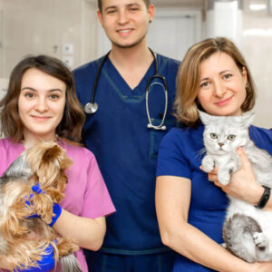 Complete Veterinary Program Prerequisites Bundle (all vet titles combined)