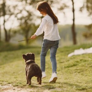 How To Train a Puppy A-Z Dog Training