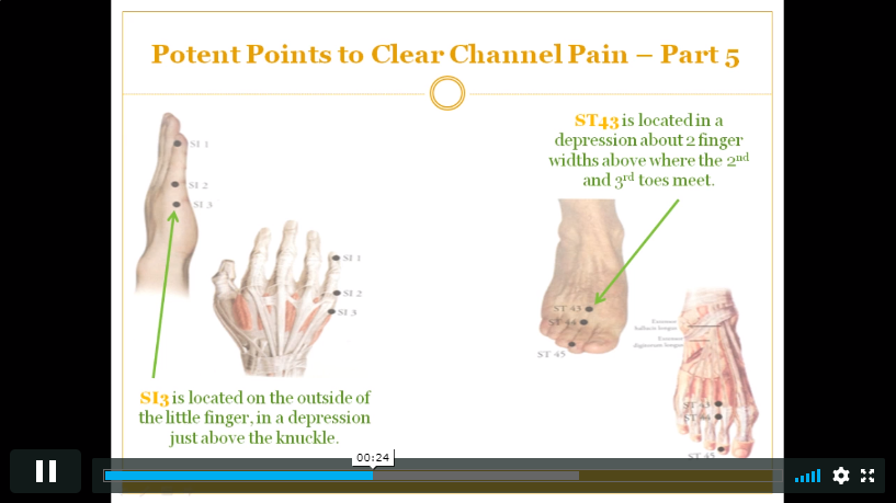 Acupressure Expert for Pain Relief_02