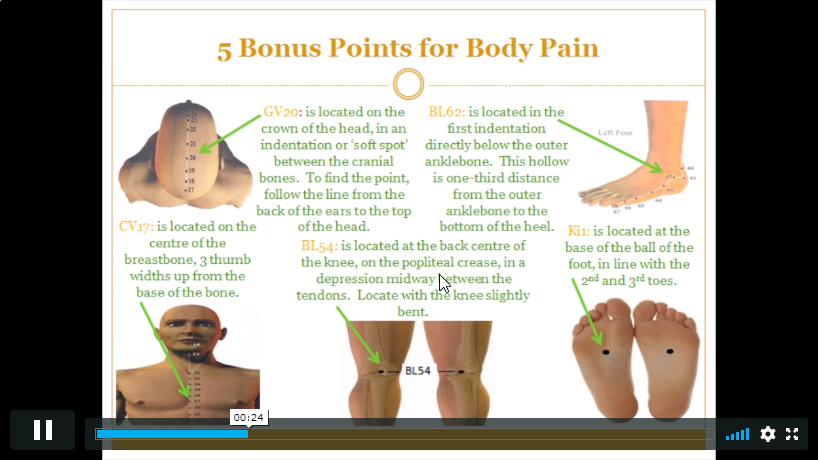 Acupressure Expert for Pain Relief_01