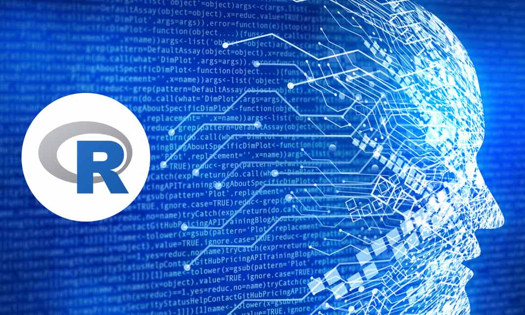 Data Science & Machine Learning with R Course Cloud