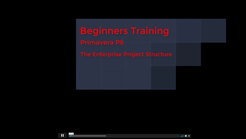 Primavera P6 Beginner & Intermediate Training_01