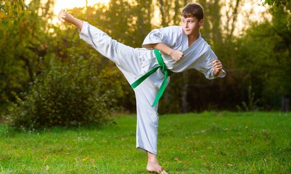Without Wooden Dummy Martial Arts Training