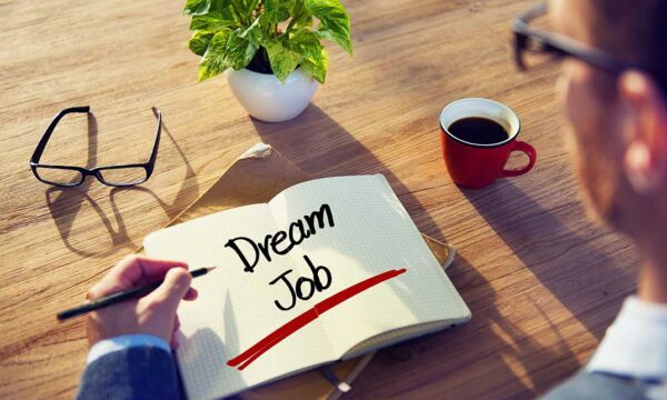 Land Your Dream Job Level 3