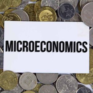 Microeconomics Level 3