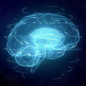 Neuroplasticity: Rewire Your Brain