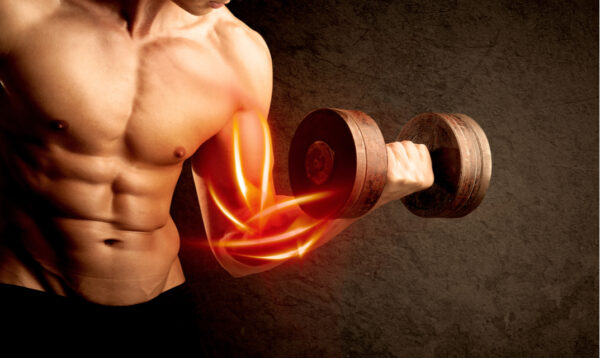 Muscle Building Secrets