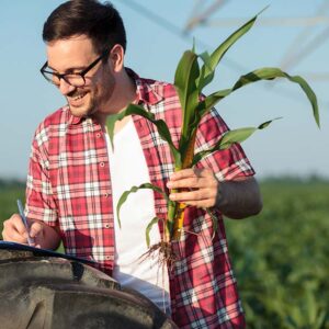 Diploma in Fertilization and Irrigation