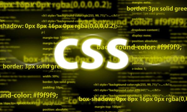 CSS Online Course